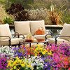 Flores Artificiales Para Exterior 10 Paquetes Amarillo Daff 5