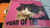 Kris Isak Year Of The Cat Vinilo Maxi Italy Dance Version 91 0