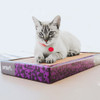 Arranhador Gato Papelao Erva Catnip petlon 2