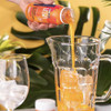 Preparado Frutas Tropicais Kit 3 Und Begin 180g 3 Preparado Frutas Tropicais Kit 3 Und Begin 180g 3