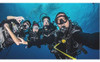 Swimseal Pro Paquete De 3 Gotas Protectoras Y 3