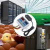 Controlador De Temperatura Controlador De Temperatura Duplo 1