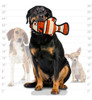 Tuffy Ocean Creature Fish, Durable Dog Toy, Orange 2