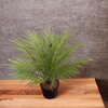 Palmera Artificial Pindo Con Maceta 1