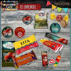 Kit Imprimible Candy Bar Valiente Merida Modelo 1 Completo 4