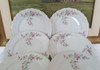 6 Platos Llanos Porcelana Antigua Bavaria Germany 3
