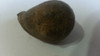 Fk Molusco Fosilizado Caracol 5 X 4 C M Impecable. 4