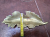 Antiguo Despojador  Flor De Bronce 1