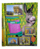Album Figus Shrek Tercero, Completo 2