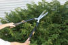Fiskars 91696935j 2533 Pulgadas De Cizalla De Seto Extensibl 2