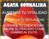 Agata Cornalina Atrae Energia Sexual Elemento Fuego Art 419 1 Agata Cornalina Atrae Energia Sexual Elemento Fuego Art 419 1
