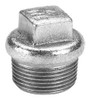 Tapon 1''  M Dema Galvanizado 01-290025000 0