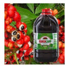 Xarope De Guaraná Natural Guaracamp 10 Litros- 2 Bombonas 3