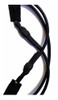 Leash Surf 6´ Kamibi Sports 5