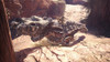 Monster Hunter World Pc Instalación Personalizada Teamviewer 5