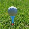 6 X 5-6pack 5x Condução De Borracha Golfe T 6 Peças 3 6 X 5-6pack 5x Condução De Borracha Golfe T 6 Peças 3