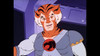 Thundercats Serie Animada Completa Calidad Full Hd 6