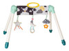 Taf Toys Mini Moon Take-to-play Baby Activity Gym 0