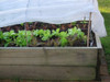 Protegé Tu Plantas Tela Antihelada - Pentacapa - 1,40 X 20 M 2