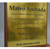 Premio: Pedestal 23cm De Alto, Color Oro, Plata O Cobre. 4 Premio: Pedestal 23cm De Alto, Color Oro, Plata O Cobre. 4