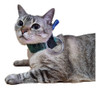 Colar De Contenção P/ Sonda Esofágica P/ Gato Pet Med Dry N3 4