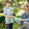 Estacas Para Plantas De Eletrocultura, 6 Peças De Eletrocult 6