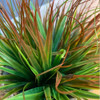 Planta Artificial Dracaena 1