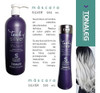 Mascara Matizador Silver 300ml Tonaleg Desamarillador 1