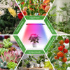 Lâmpada Interna Grow Light Led Spectrum Growing Full Timer C 2