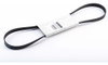 Correa Accesorios Renault 2