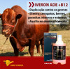 Iveron 500ml Antiparasitário 3.85% + Fluazuron 8% Gado Limpo 2 Iveron 500ml Antiparasitário 3.85% + Fluazuron 8% Gado Limpo 2
