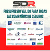 Presupuesto Para Seguros 1