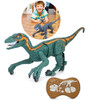 Dinosario C/control Velociraptor Vede /gris 0