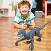 Dinosario C/control Velociraptor Vede /gris 2