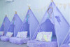 Alquiler De Carpas Tipi Para Pijamadas Cumpleaños Eventos 4