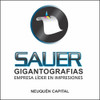 Vinilo Esmerilado Con Corte X Metro2 Personalizado 3