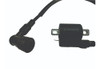 Bobina De Ignición Brava 150 Elektra 1