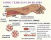 6 Pares De Imanes 4000 Gauss, 30mm Diametro  Magnetoterapia 1