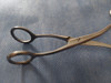 Pinza Aro Collin 17cm Phillips Floan Instrumental Quirúrgico 1