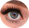 Siesta Black Romance Gray Lentes De Contacto 0