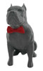 Pitbull Macho Orelha Cortada Gravata Miniatura Decoração 3d 1