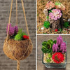 Pack De 24 Mini Plantas Suculentas Artificiales Sin Maceta 3