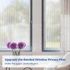 Filme De Privacidade Para Janelas Windimiley Frosted Glass R 6 Filme De Privacidade Para Janelas Windimiley Frosted Glass R 6