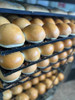Pan De Papa De Hamburguesa 1 Pan De Papa De Hamburguesa 1