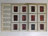 Picasso 12 Transparencias, Codex 1969 2