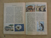 Album De Figuritas Barbablanca Codex 1960 Completo, Mira !!! 6