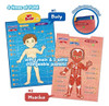 Best Learning I-poster My Body - Póster Educativo 4