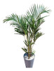 Palmera Areca De Interior C/maceta. 0