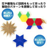 Recursos De Aprendizaje Plastic Pattern Blocks (set Of 250) 3