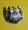 Pin De Metal De La Isla Bermuda 0
